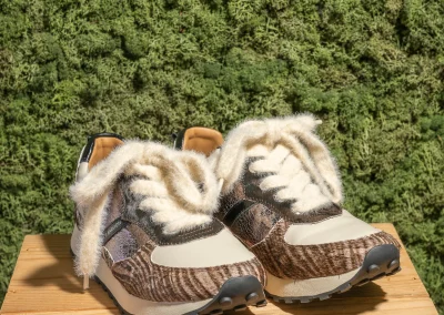 chaussures_F_Aut-hiv_2026
